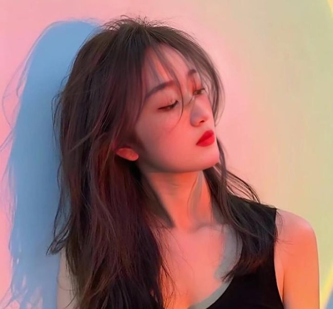 企鹅：极地追踪